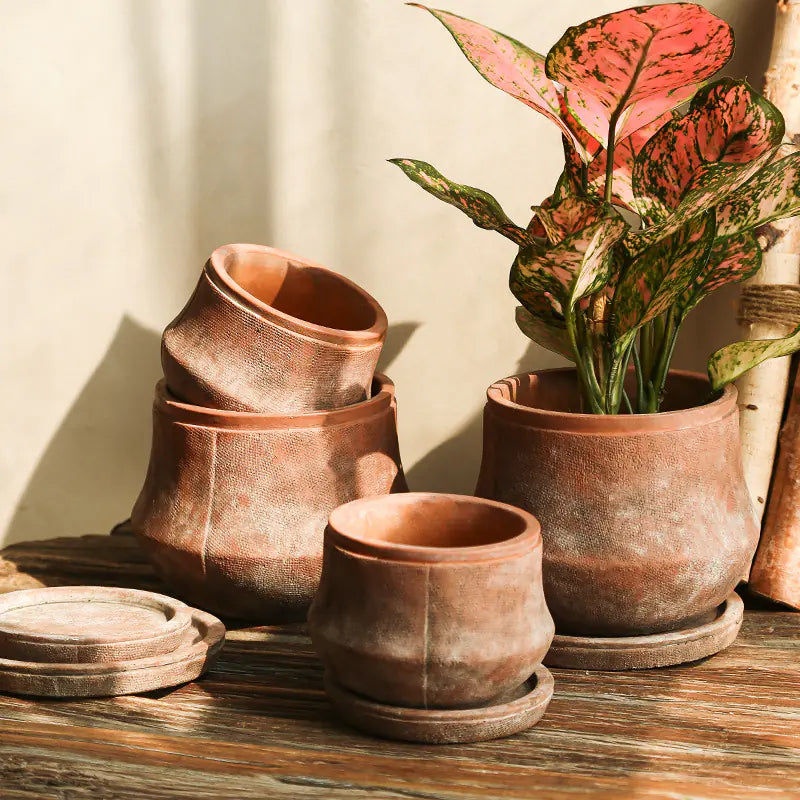 Terra Sol – Handcrafted Rustic Terracotta Planter