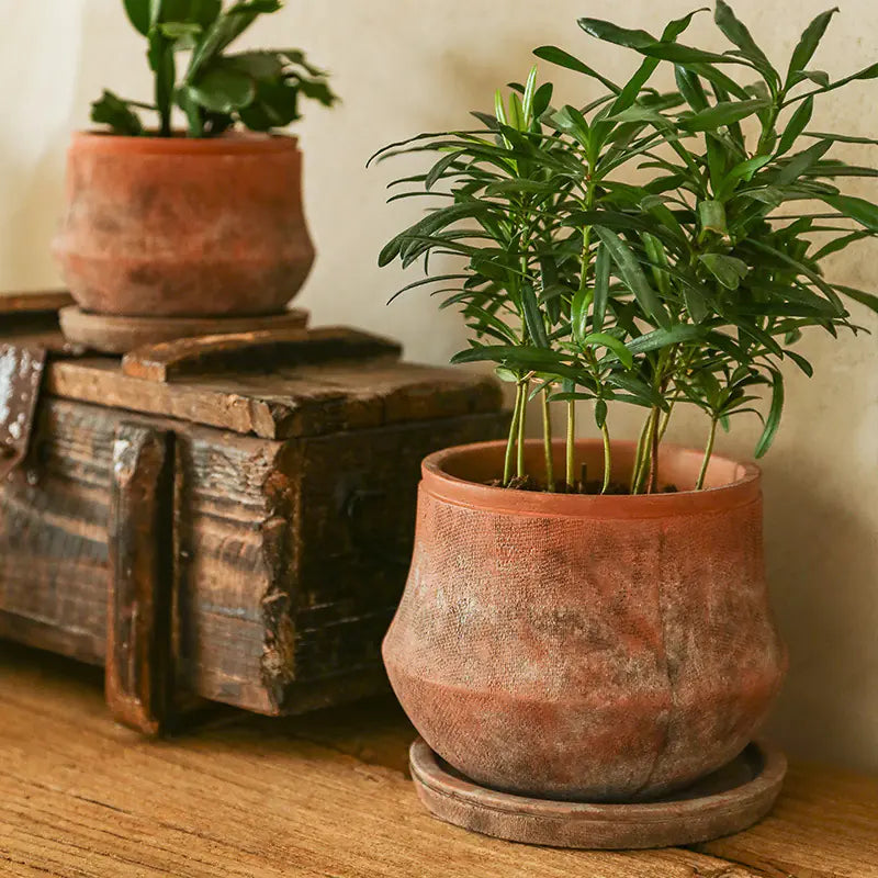 Terra Sol – Handcrafted Rustic Terracotta Planter